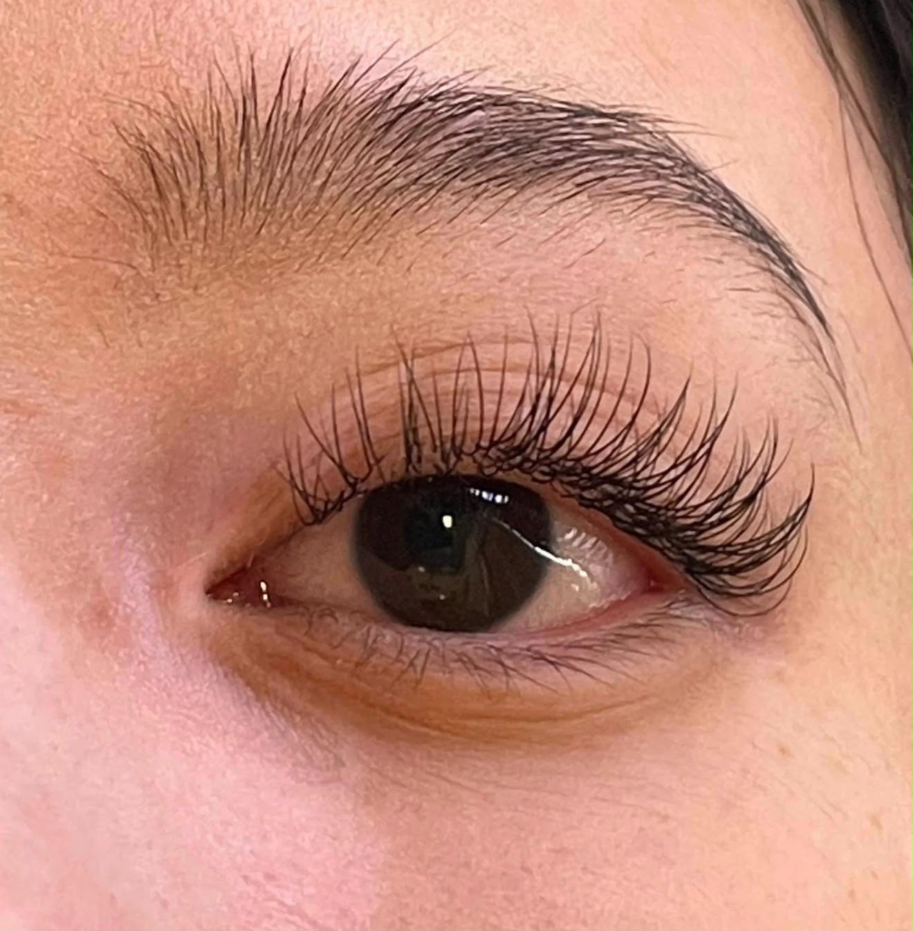 Classic Natural